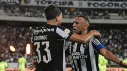 Eduardo comemora seu gol pelo Botafogo diante do Palmeiras. Foto: Thiago Ribeiro/AGIF