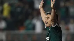 Willian vira tema de reunião de mudança no Palmeiras e contrato será revisto