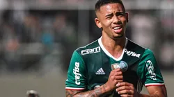 As 5 revelações da base que mais iludiram o torcedor do Palmeiras