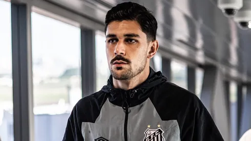 João Basso te novo cenário na carreria