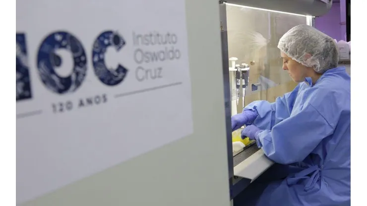 Divulgação/Josué Damacena (IOC/Fiocruz)