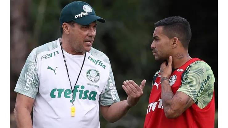 Cesar Greco/Palmeiras