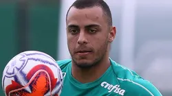 Foto: Cesar Greco/ Ag. Palmeiras.