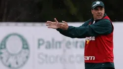 Jogador negociado pelo Palmeiras volta a treinar com equipe