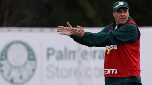 Jogador negociado pelo Palmeiras volta a treinar com equipe