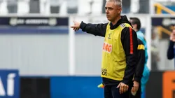 Tiago Nunes ganha reforço para escalar o Corinthians