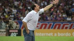 Ceni sobe o tom e não quer bilionário no Fortaleza