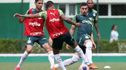 Palmeiras tem 5 candidatos para ficar de fora da Libertadores (Foto: Cesar Greco/Palmeiras/Divulgação)