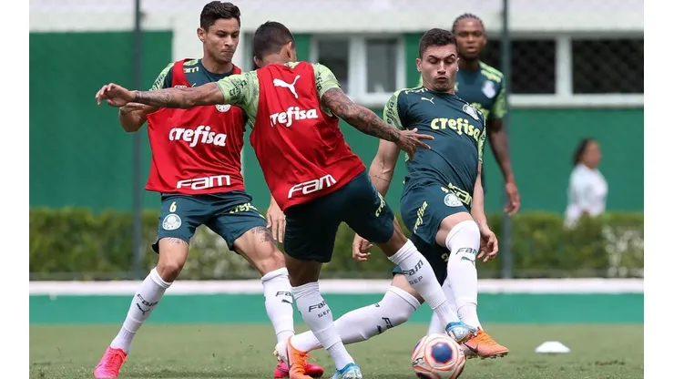 Palmeiras tem 5 candidatos para ficar de fora da Libertadores (Foto: Cesar Greco/Palmeiras/Divulgação)