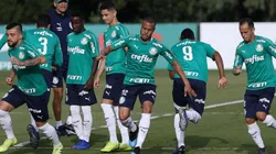 Foto: Palmeiras/Divulgação