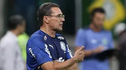 Foto: Cesar Greco/Palmeiras/Divulgação