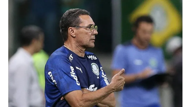 Foto: Cesar Greco/Palmeiras/Divulgação