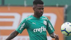(Foto: Cesar Greco/Palmeiras/Divulgação)