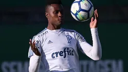 Cesar Greco/Palmeiras