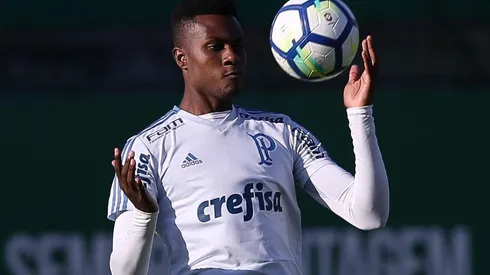 Cesar Greco/Palmeiras