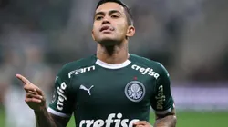 Dudu é o artilheiro do Palmeiras (Foto: Cesar Greco/Divulgação)