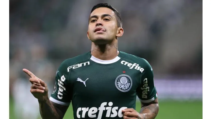 Dudu é o artilheiro do Palmeiras (Foto: Cesar Greco/Divulgação)
