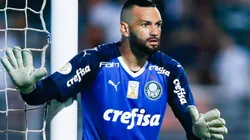 Palmeiras estuda formalizar proposta de R$ 2,3 milhões por goleiro