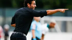 Vasco da Gama v Palmeiras - Brasileirao Series A 2018