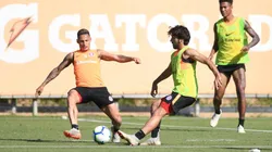 D'Alessandro desfalca o Inter contra o Botafogo
