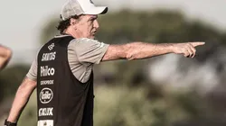 Foto: Ivan Storti/santos FC