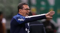 Foto: Cesar Greco/Palmeiras