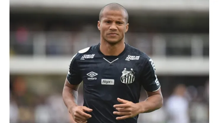 Foto: Ivan Storti/Santos FC