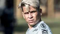 Foto: Ivan Storti/Santos FC