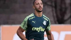 Cesar Greco/Palmeiras