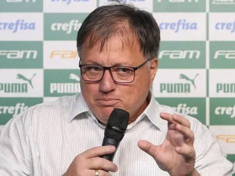 Botafogo negocia com meio-campista do Palmeiras