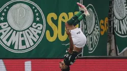 Verde e Branco em desencanto