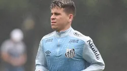 Foto: Ivan Storti/Santos FC