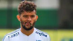 Foto: Cesar Greco/Palmeiras.