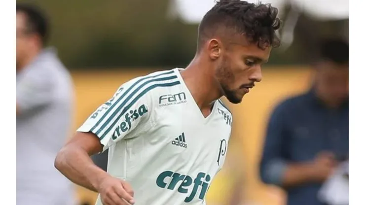 Divulgação