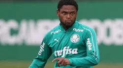 Cesar Greco/Palmeiras