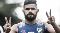 Foto: (Ivan Storti/Divulgação SFC)