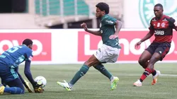 Palmeiras empata até em dia que protagoniza vitória do futebol brasileiro fora de campo