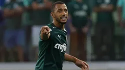 Cesar Greco/Palmeiras