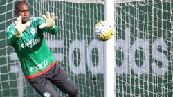 Palmeiras renova com Jailson até 2021