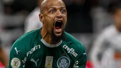 Felipe Melo é vítima de fake news na web e se revolta com jornalista