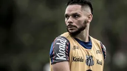 Foto: Ivan Storti/Santos FC/Divulgação