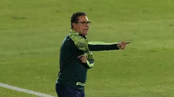 Cesar Greco/Palmeiras