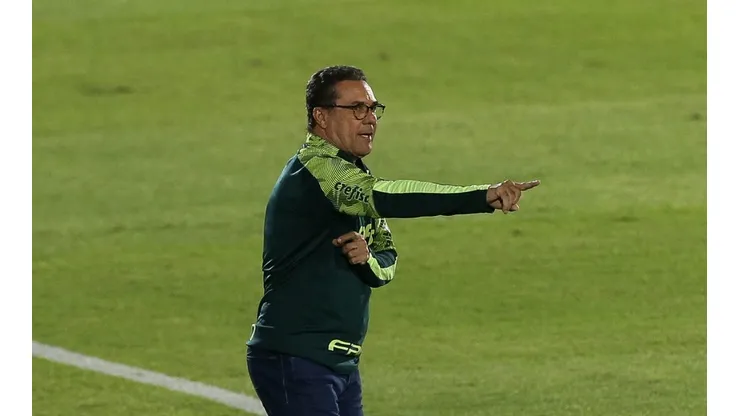 Cesar Greco/Palmeiras