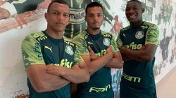 Jamelli monitora joia do Palmeiras para o Olympique de Marselha