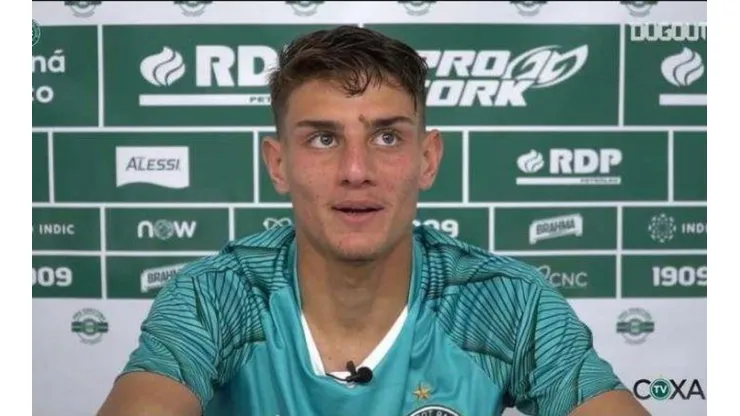 Divulgação