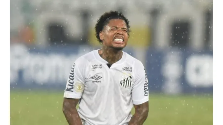 Foto: Ivan Storti/Santos FC
