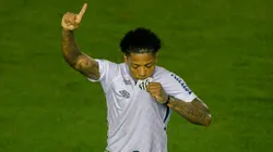 O Botafogo enfrenta o Santos pela 11ª rodada do Brasileirão - (Getty Images)