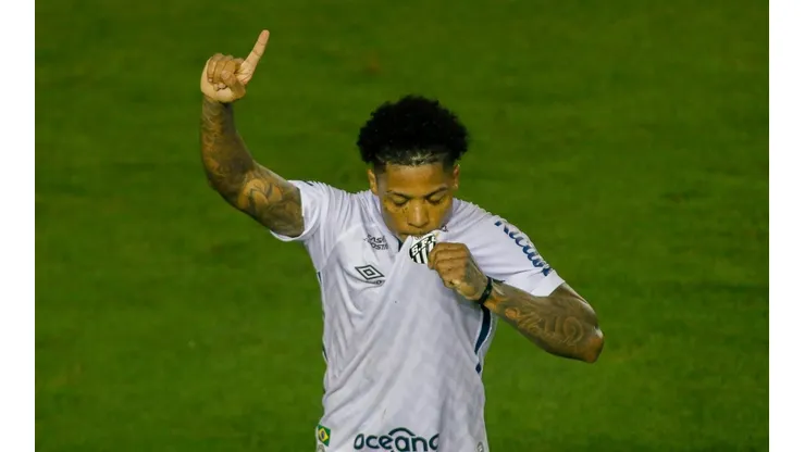 O Botafogo enfrenta o Santos pela 11ª rodada do Brasileirão - (Getty Images)