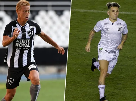 Botafogo x Santos: Como e onde assistir o jogo deste domingo