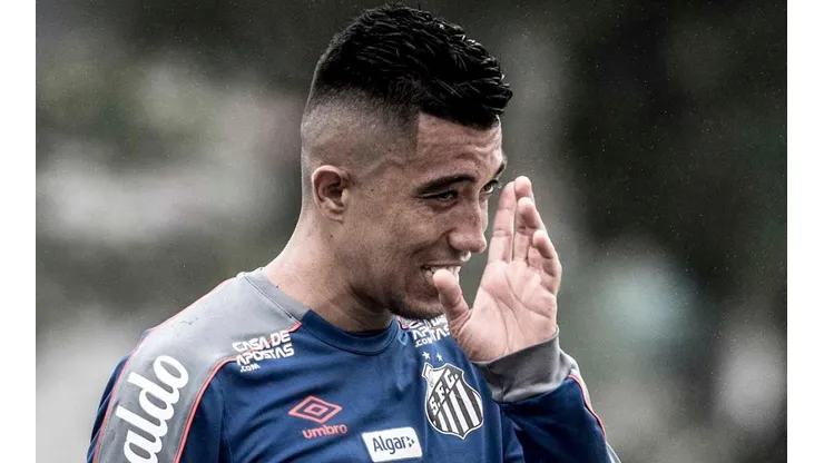 Foto: Ivan Storti/Santos FC